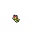 Caterpie