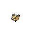 Pidgey